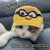 Доброе утро вторника. Котенок