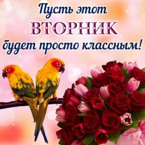 Пусть вторник будет классным