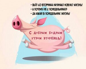 С бодрым утром вторника