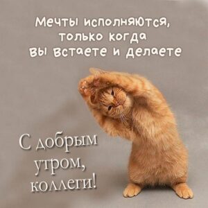 С добрым утром, коллеги