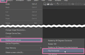 Image → Rotate Canvas → Flip Horizontal