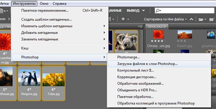 Что такое автосохранение Photoshop и как восстановить файл Adobe Photoshop