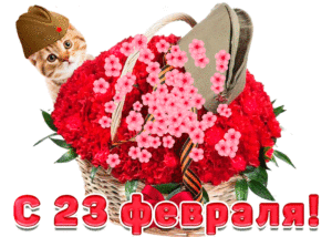 Букет цветов женщине на 23 февраля