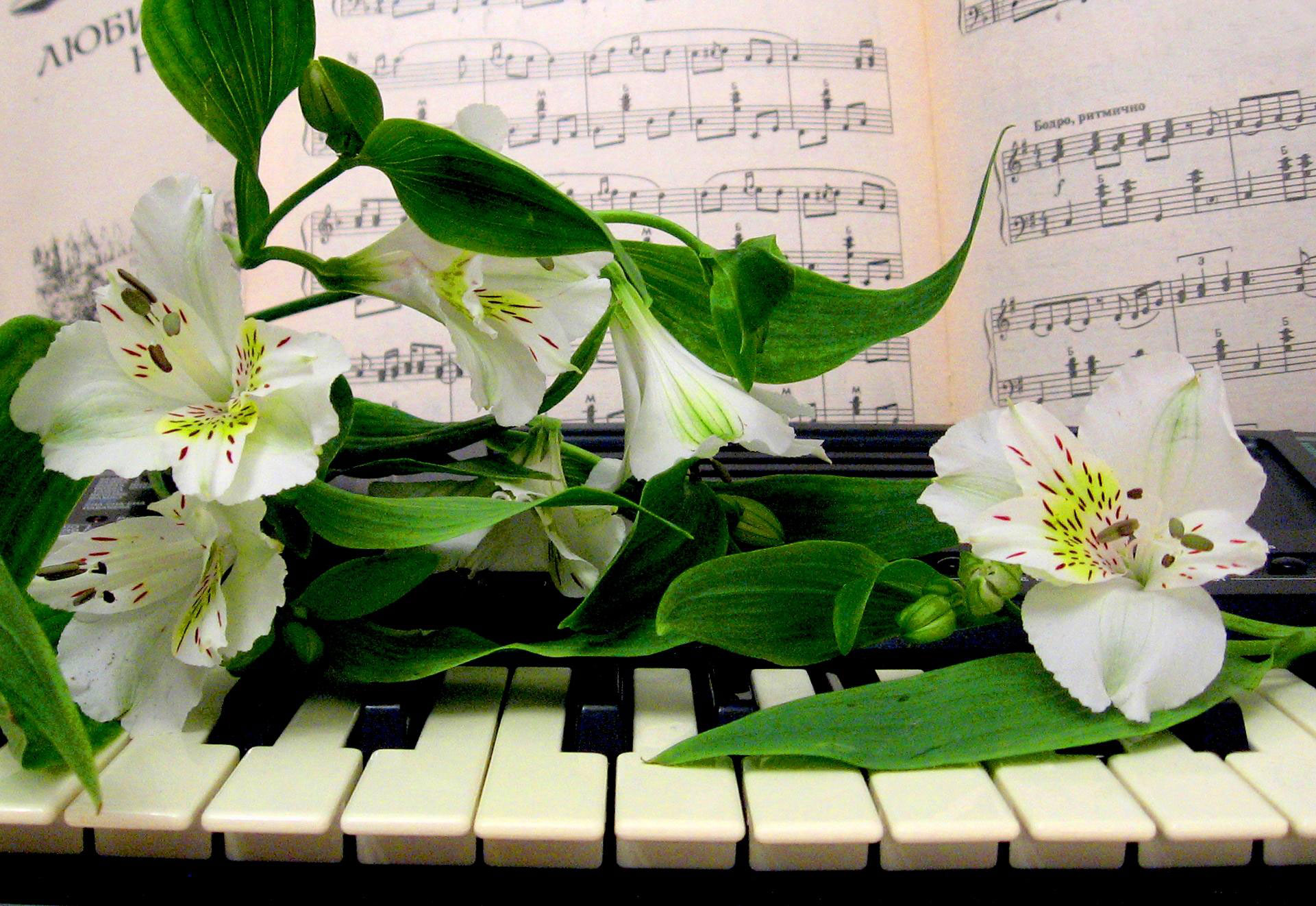 Цветы на пианино для учительницы музыки