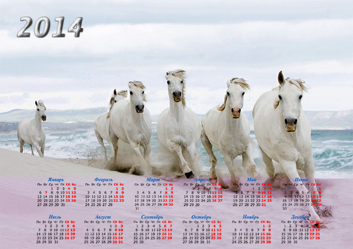 Календарь 2014 с белыми лошадьми