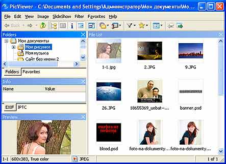 Программа для просмотра изображений PicViewer