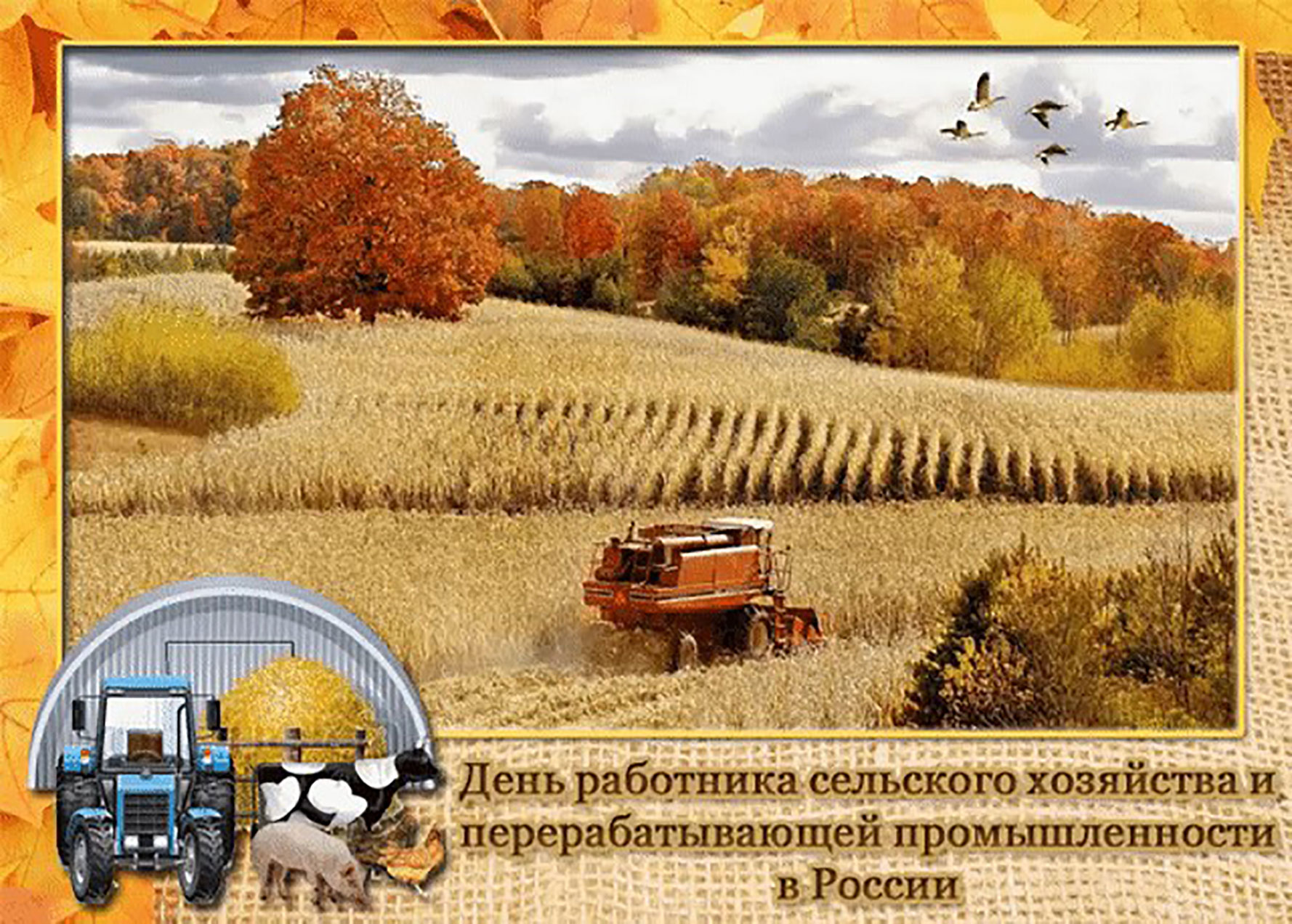 Красивая картинка сельское хозяйство россии