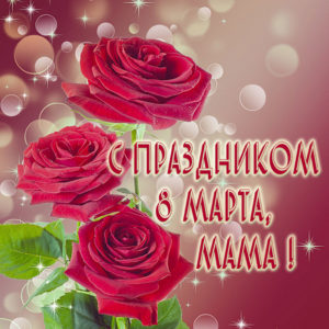 Красивые розы для мамы в этот праздник