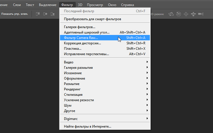 фильтр Camera Raw