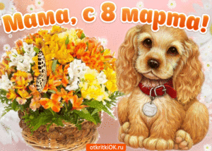 Милая собачка поздравляет маму с 8 марта