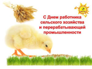 Открытка с днем сельского хозяйства с цыплятами