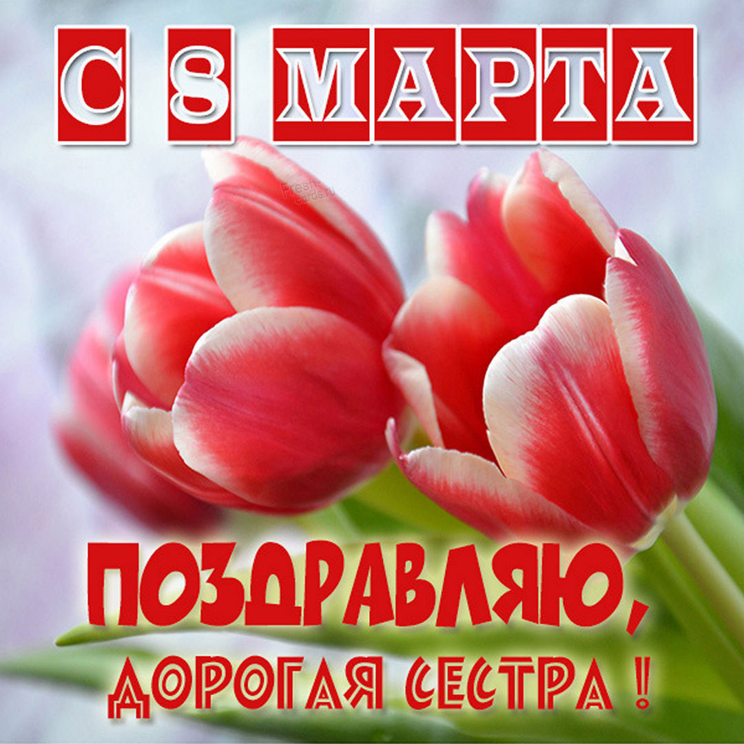Поздравление красными тюльпанами