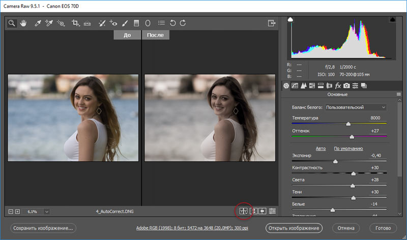 Камера рав. Camera Raw до и после. Обработка камера рав. Отобразить фотографию.