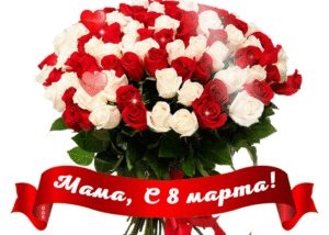 Шикарный букет красных и белых роз для мамы