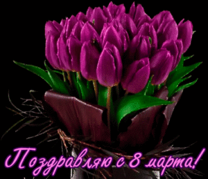 Сиреневые тюльпаны к 8 марта